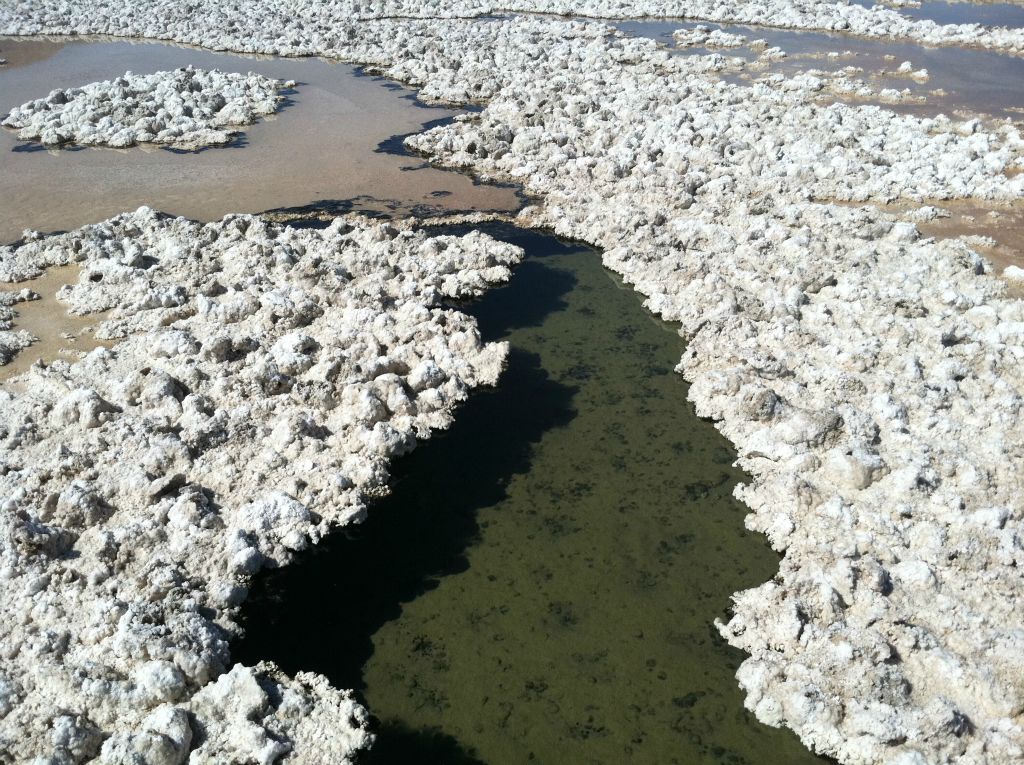 This area is a perfect little ecosystem, with a channel of water down the middle, salt and mud walls to each side, and a hiding spot for the pupfish near the top of the channel.  We took our steps very carefully in this area so as to leave no impact: